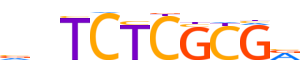 KAISO.H13RSNP.0.P.B reverse-complement motif logo (ZBTB33 gene, KAISO_HUMAN protein)