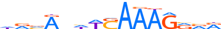 LEF1.H13RSNP.1.P.B reverse-complement motif logo (LEF1 gene, LEF1_HUMAN protein)