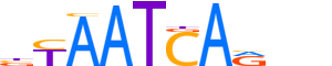 LHX6.H13RSNP.0.P.B motif logo (LHX6 gene, LHX6_HUMAN protein)