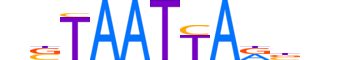 LHX6.H13RSNP.1.S.B motif logo (LHX6 gene, LHX6_HUMAN protein)