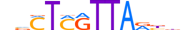 LHX8.H13RSNP.1.M.C motif logo (LHX8 gene, LHX8_HUMAN protein)