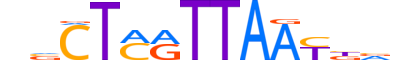 LHX9.H13RSNP.1.M.B reverse-complement motif logo (LHX9 gene, LHX9_HUMAN protein)