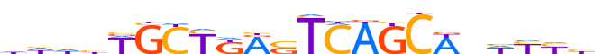 MAFF.H13RSNP.0.PSM.A motif logo (MAFF gene, MAFF_HUMAN protein)