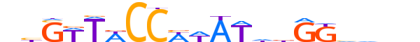 MEF2B.H13RSNP.1.SM.B motif logo (MEF2B gene, MEF2B_HUMAN protein)