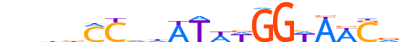 MEF2B.H13RSNP.1.SM.B reverse-complement motif logo (MEF2B gene, MEF2B_HUMAN protein)