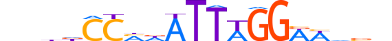 MEF2C.H13RSNP.1.SM.B motif logo (MEF2C gene, MEF2C_HUMAN protein)