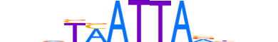 MEOX1.H13RSNP.0.SM.B reverse-complement motif logo (MEOX1 gene, MEOX1_HUMAN protein)