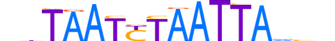 MIXL1.H13RSNP.0.SM.B reverse-complement motif logo (MIXL1 gene, MIXL1_HUMAN protein)