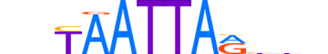 MIXL1.H13RSNP.1.S.B motif logo (MIXL1 gene, MIXL1_HUMAN protein)