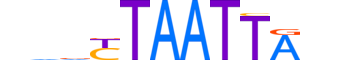 MIXL1.H13RSNP.1.S.B reverse-complement motif logo (MIXL1 gene, MIXL1_HUMAN protein)