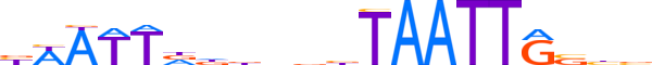 MSX2.H13RSNP.1.SM.B reverse-complement motif logo (MSX2 gene, MSX2_HUMAN protein)