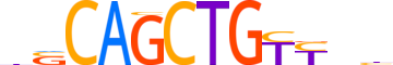 MYF5.H13RSNP.0.P.D motif logo (MYF5 gene, MYF5_HUMAN protein)