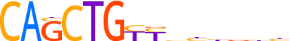 MYOD1.H13RSNP.0.P.B motif logo (MYOD1 gene, MYOD1_HUMAN protein)