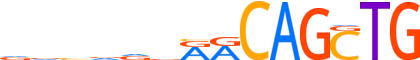 MYOD1.H13RSNP.0.P.B reverse-complement motif logo (MYOD1 gene, MYOD1_HUMAN protein)