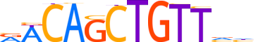 MYOD1.H13RSNP.1.PSM.A motif logo (MYOD1 gene, MYOD1_HUMAN protein)