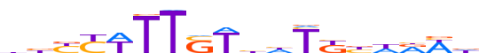 NANOG.H13RSNP.0.P.B motif logo (NANOG gene, NANOG_HUMAN protein)