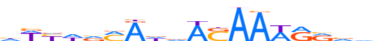 NANOG.H13RSNP.0.P.B reverse-complement motif logo (NANOG gene, NANOG_HUMAN protein)