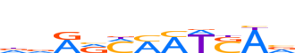 NANOG.H13RSNP.1.P.B reverse-complement motif logo (NANOG gene, NANOG_HUMAN protein)