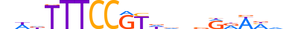 NFAC2.H13RSNP.4.M.D reverse-complement motif logo (NFATC2 gene, NFAC2_HUMAN protein)