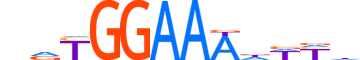 NFAT5.H13RSNP.0.SM.B motif logo (NFAT5 gene, NFAT5_HUMAN protein)