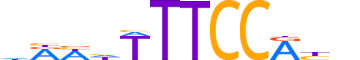 NFAT5.H13RSNP.0.SM.B reverse-complement motif logo (NFAT5 gene, NFAT5_HUMAN protein)