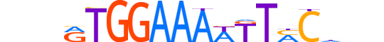 NFAT5.H13RSNP.1.PS.A motif logo (NFAT5 gene, NFAT5_HUMAN protein)