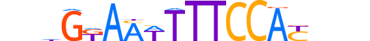 NFAT5.H13RSNP.1.PS.A reverse-complement motif logo (NFAT5 gene, NFAT5_HUMAN protein)