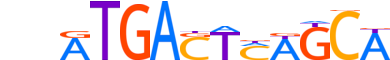 NFE2.H13RSNP.0.P.B motif logo (NFE2 gene, NFE2_HUMAN protein)