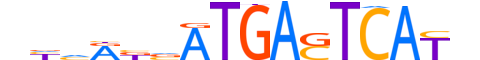 NFE2.H13RSNP.1.SM.B motif logo (NFE2 gene, NFE2_HUMAN protein)