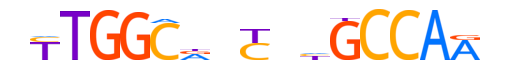 NFIC.H13RSNP.0.PSM.A motif logo (NFIC gene, NFIC_HUMAN protein)