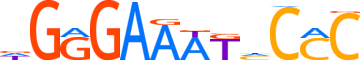 NFKB1.H13RSNP.0.PS.A motif logo (NFKB1 gene, NFKB1_HUMAN protein)