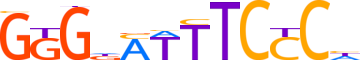 NFKB1.H13RSNP.0.PS.A reverse-complement motif logo (NFKB1 gene, NFKB1_HUMAN protein)