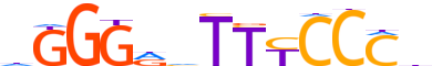 NFKB2.H13RSNP.0.PSM.A reverse-complement motif logo (NFKB2 gene, NFKB2_HUMAN protein)