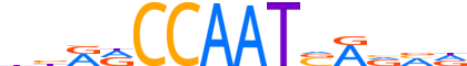 NFYB.H13RSNP.0.P.D motif logo (NFYB gene, NFYB_HUMAN protein)