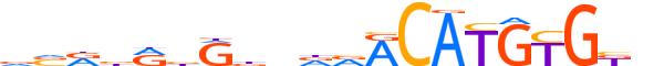 NPAS2.H13RSNP.0.M.B motif logo (NPAS2 gene, NPAS2_HUMAN protein)