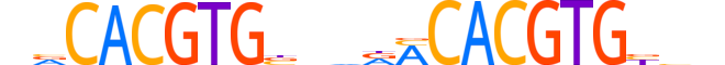 NPAS2.H13RSNP.2.S.B motif logo (NPAS2 gene, NPAS2_HUMAN protein)