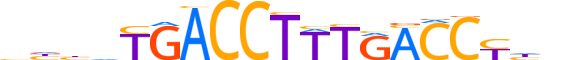 NR2C1.H13RSNP.1.PM.A reverse-complement motif logo (NR2C1 gene, NR2C1_HUMAN protein)