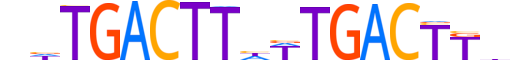 NR2E1.H13RSNP.1.S.B reverse-complement motif logo (NR2E1 gene, NR2E1_HUMAN protein)