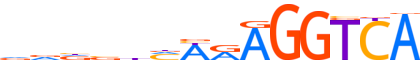 NR2F6.H13RSNP.0.P.D motif logo (NR2F6 gene, NR2F6_HUMAN protein)
