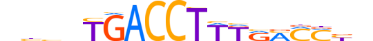 NR2F6.H13RSNP.2.SM.D reverse-complement motif logo (NR2F6 gene, NR2F6_HUMAN protein)