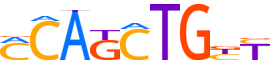 OLIG2.H13RSNP.1.P.B motif logo (OLIG2 gene, OLIG2_HUMAN protein)