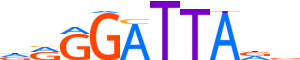 OTX2.H13RSNP.0.PSM.A motif logo (OTX2 gene, OTX2_HUMAN protein)