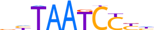 OTX2.H13RSNP.0.PSM.A reverse-complement motif logo (OTX2 gene, OTX2_HUMAN protein)