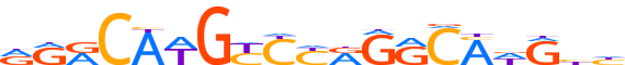 P53.H13RSNP.0.P.B reverse-complement motif logo (TP53 gene, P53_HUMAN protein)