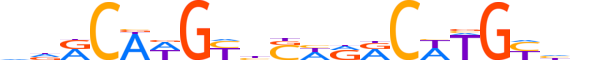 P63.H13RSNP.0.PS.A motif logo (TP63 gene, P63_HUMAN protein)