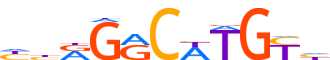 P73.H13RSNP.1.P.D motif logo (TP73 gene, P73_HUMAN protein)