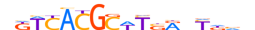 PAX1.H13RSNP.0.SM.B reverse-complement motif logo (PAX1 gene, PAX1_HUMAN protein)