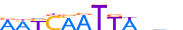 PAX3.H13RSNP.2.P.D motif logo (PAX3 gene, PAX3_HUMAN protein)