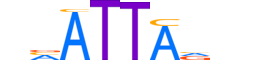 PAX4.H13RSNP.0.SM.D motif logo (PAX4 gene, PAX4_HUMAN protein)