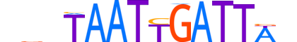 PAX7.H13RSNP.2.PM.A reverse-complement motif logo (PAX7 gene, PAX7_HUMAN protein)